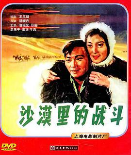 沙漠里的戰(zhàn)斗