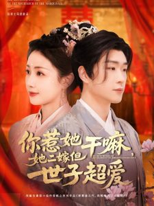 你惹她干嘛，她二嫁但世子超愛(全集)