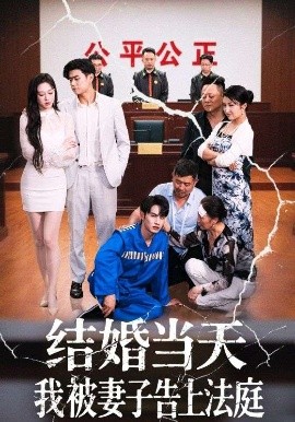 結(jié)婚當天我被妻子告上法庭(全集)