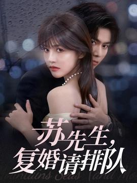 蘇先生，復(fù)婚請排隊(全集)