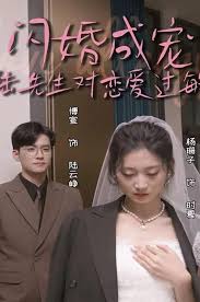 閃婚成寵，陸先生對戀愛過敏(全集)