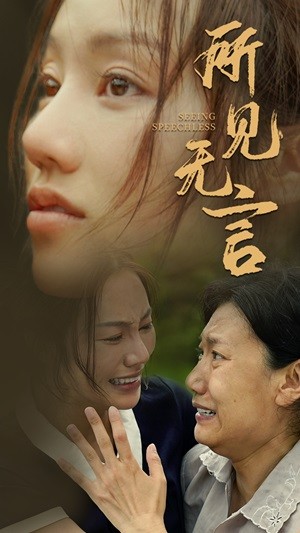 所見無(wú)言(全集)