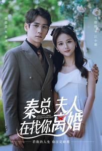 秦總，夫人在找你離婚(全集)