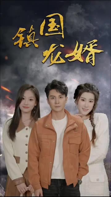 鎮(zhèn)國(guó)龍婿(全集)