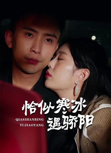 恰似寒冰遇驕陽(yáng)(全集)