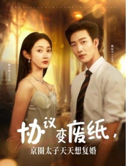 協(xié)議變廢紙，京圈太子天天想復(fù)婚(全集)