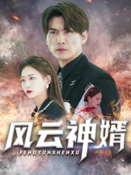 風(fēng)云神婿(全集)