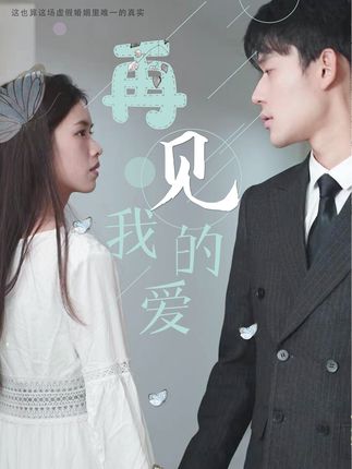 再見(jiàn)，我的愛(ài)(全集)