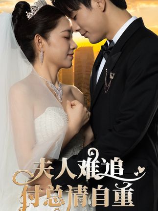 夫人難追，付總請自重(全集)
