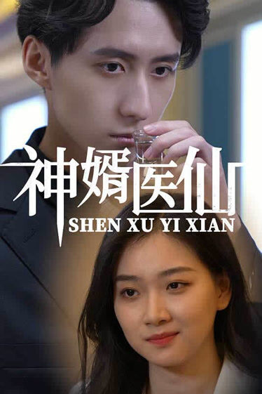 神婿醫(yī)仙(全集)
