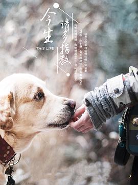 今生，請多指教第三季(全集)
