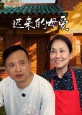 遲來的母愛(全集)