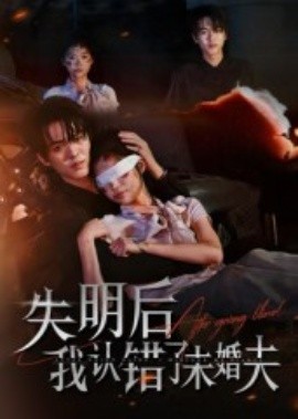 失明后我認錯了未婚夫(全集)