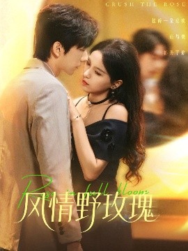 風(fēng)情野玫瑰 揉碎玫瑰(全集)