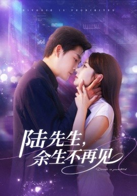 陸先生，余生不再見(全集)